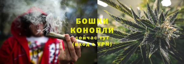 мяу мяу мука Карпинск
