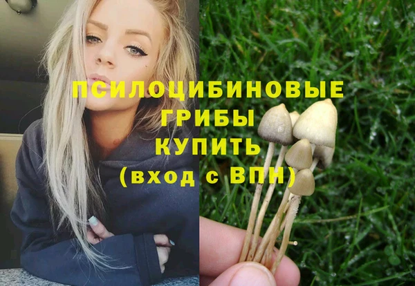 мяу мяу мука Карпинск